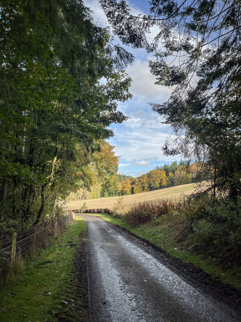 Sawmill Field, Fyvie