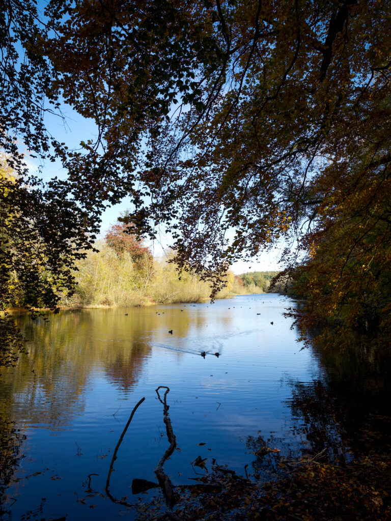 Fyvie Lake