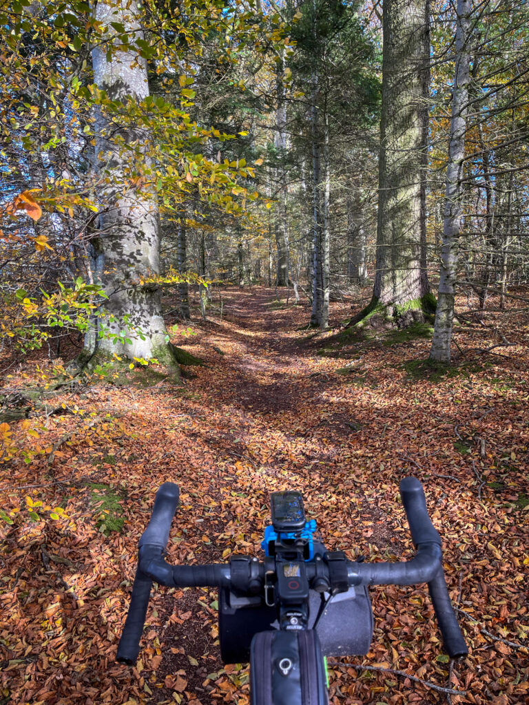 Biking at Parkburn